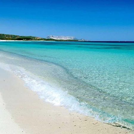Villa Indipendente Al Mare Budoni Tanaunella Εξωτερικό φωτογραφία
