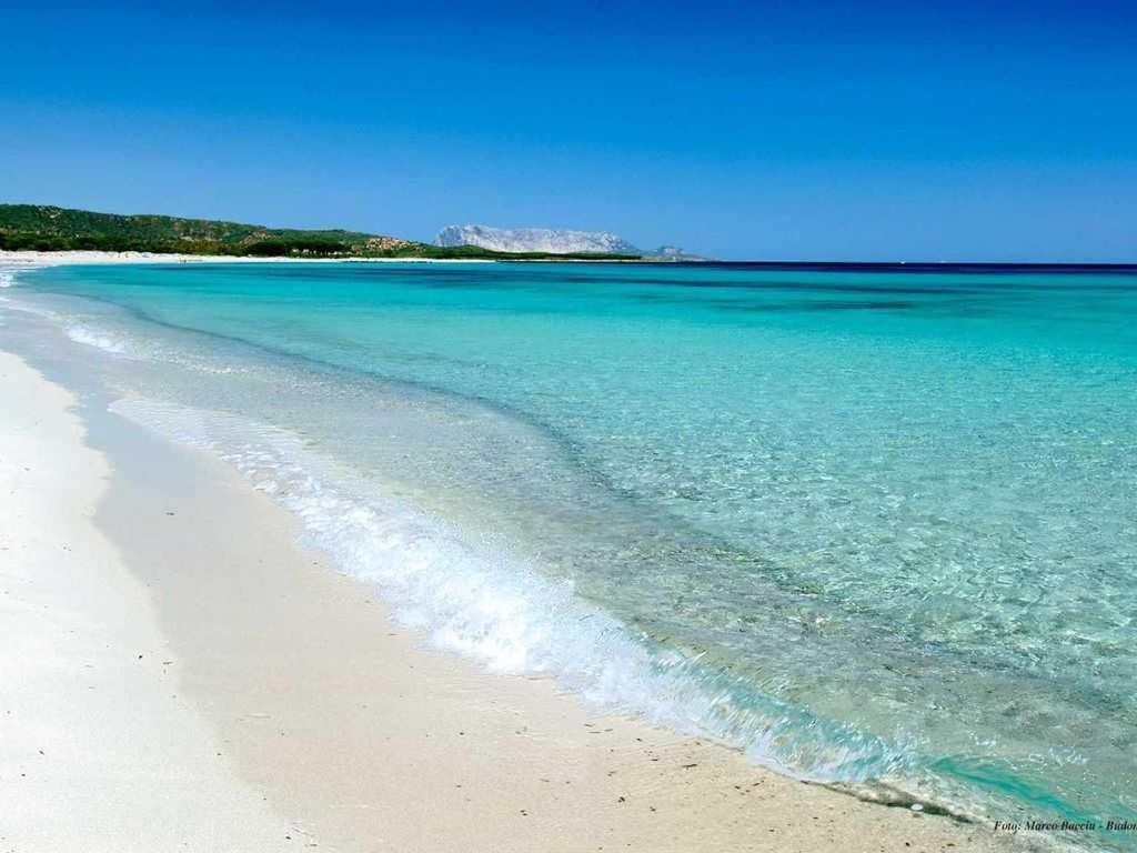 Villa Indipendente Al Mare Budoni Tanaunella Εξωτερικό φωτογραφία