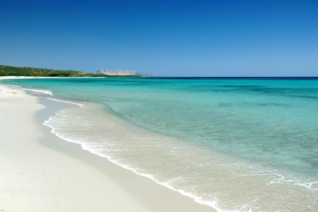 Villa Indipendente Al Mare Budoni Tanaunella Εξωτερικό φωτογραφία